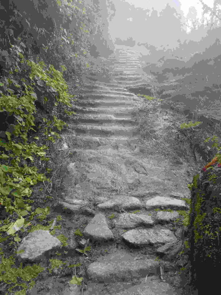 Ancient steps made by the Incas along the inca trail