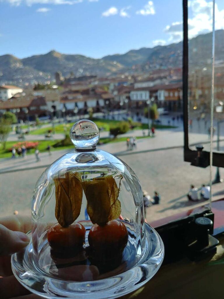 Physalis Berry in Cusco, Peru