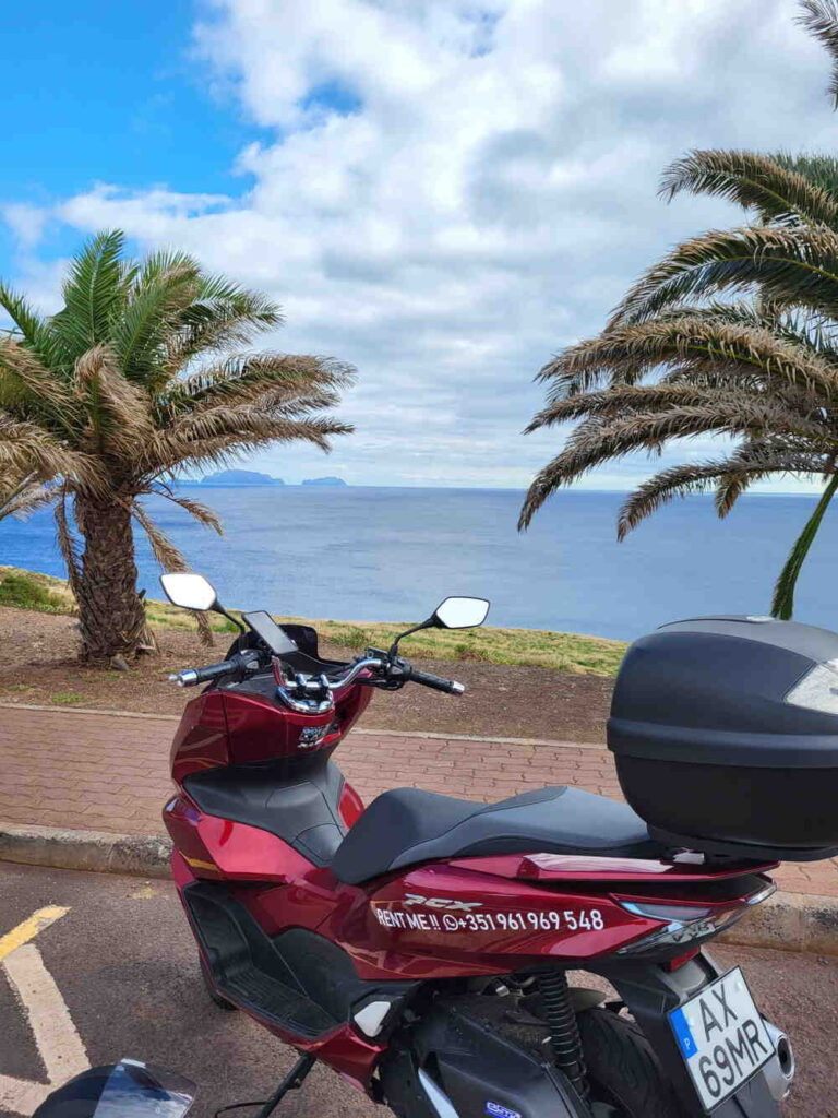 Madeira Bike Rental