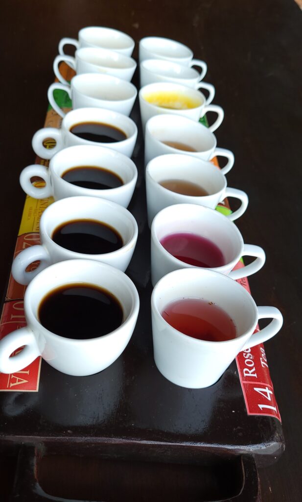 Coffee Plantation Taste Testing Samples
