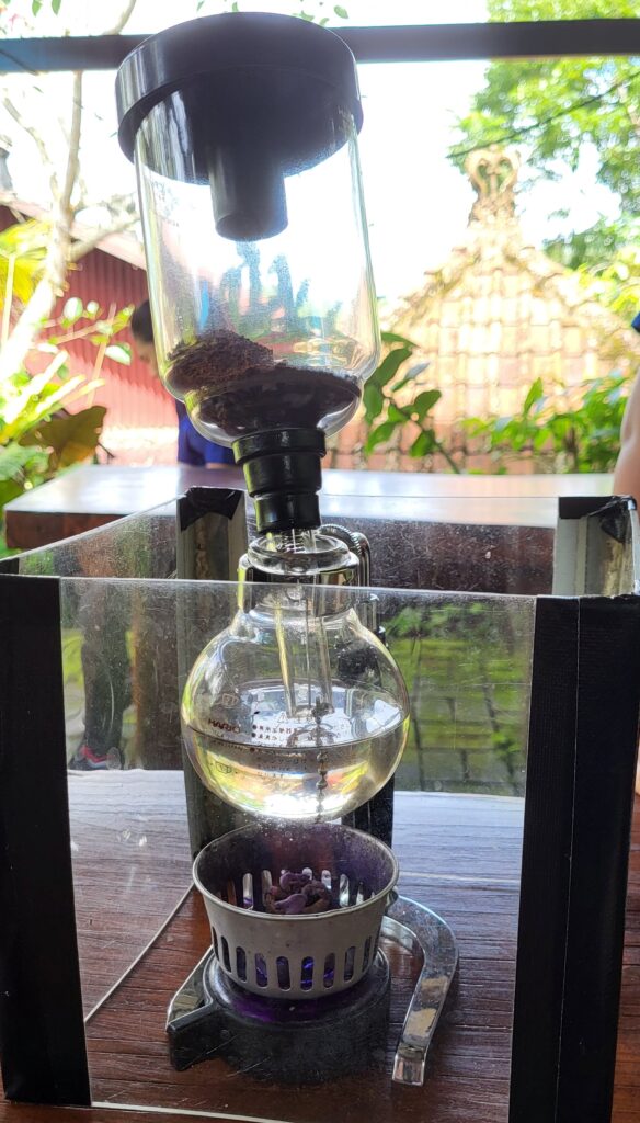 How Balinese coffee is made