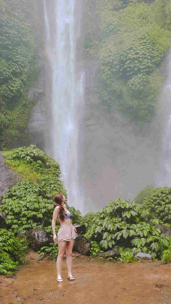 Sekumpul Waterfalls View