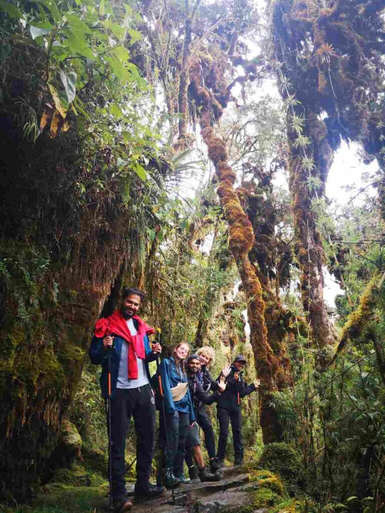 One of the micro climates you go through through the inca trail