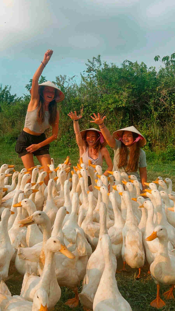 Feeding the Ducks at the Duck Stop