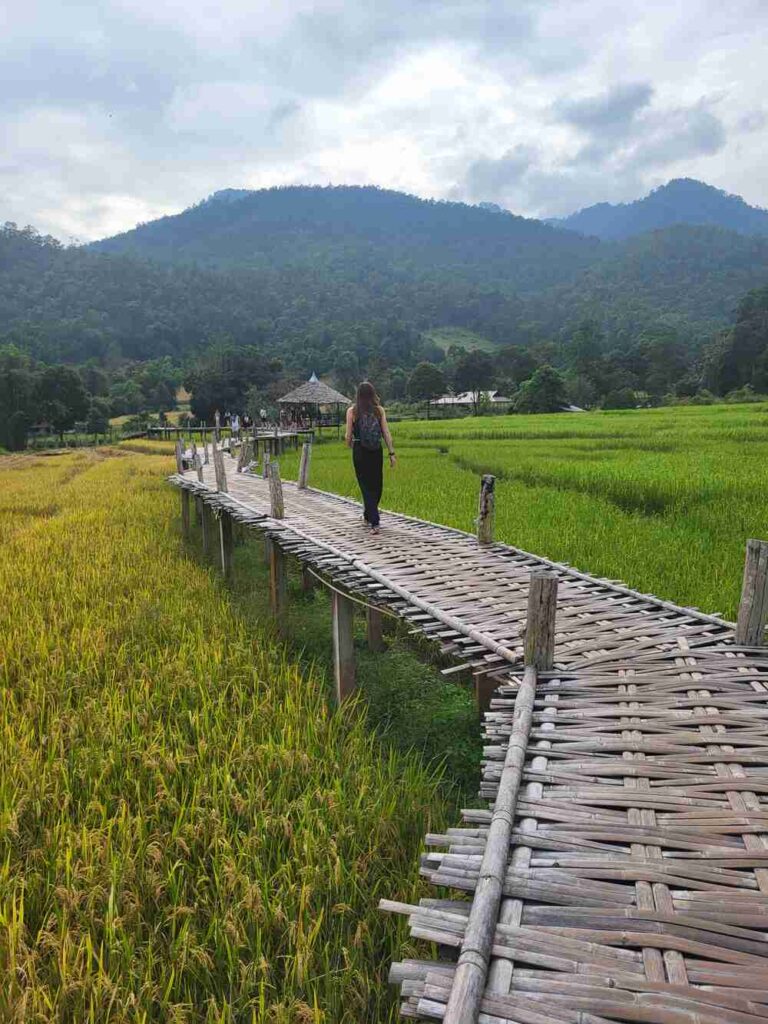 A view of the Bamboo Bridges in Pai, Thailand