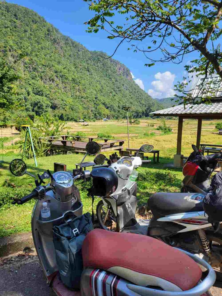 A view of my scooter overlooking the rice fields at a coffee shop on the road to Ban Rak Thai