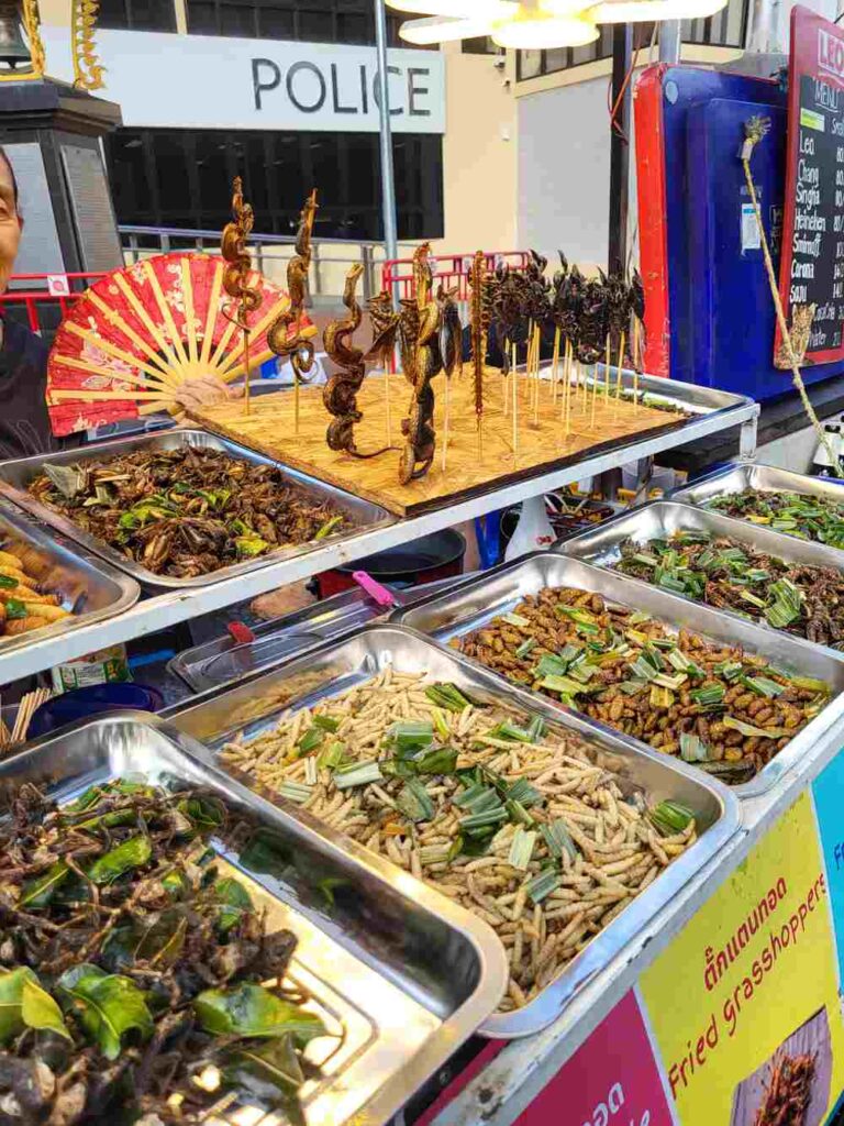 A street vendor on Khao San Road selling roasted bugs, frogs, and snakes!