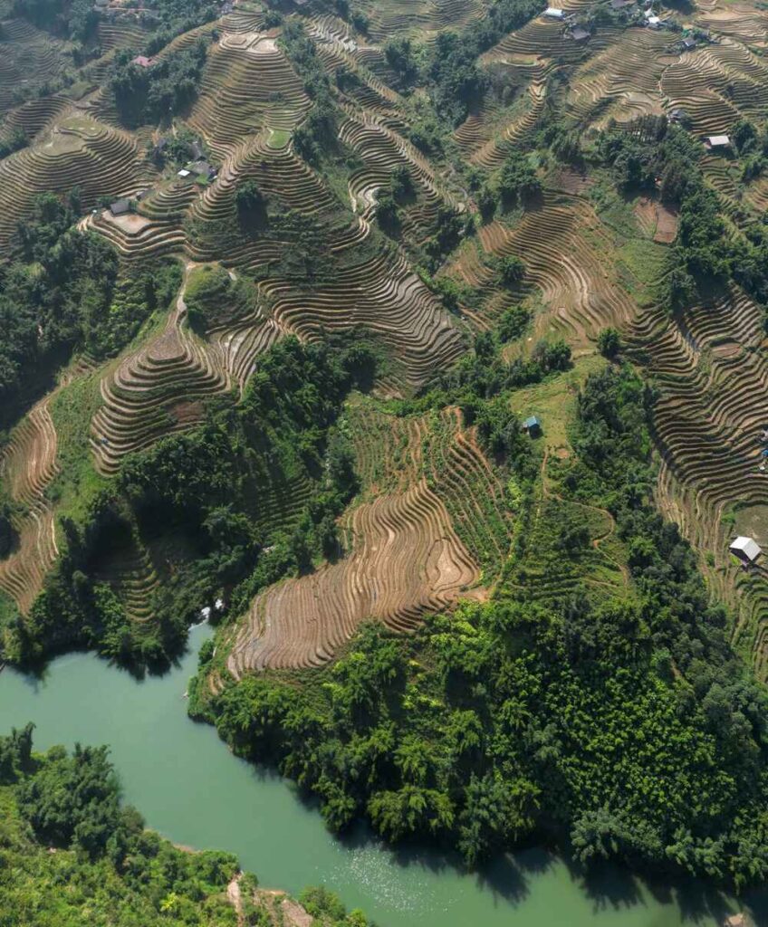 Sapa Fields