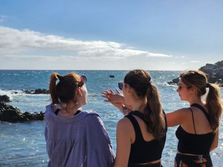 Looking out at the ocean on the coast of Madeira, Portugal with new friends.
