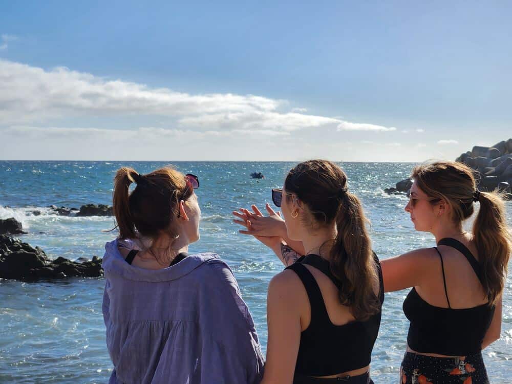 Looking out at the ocean on the coast of Madeira, Portugal with new friends.